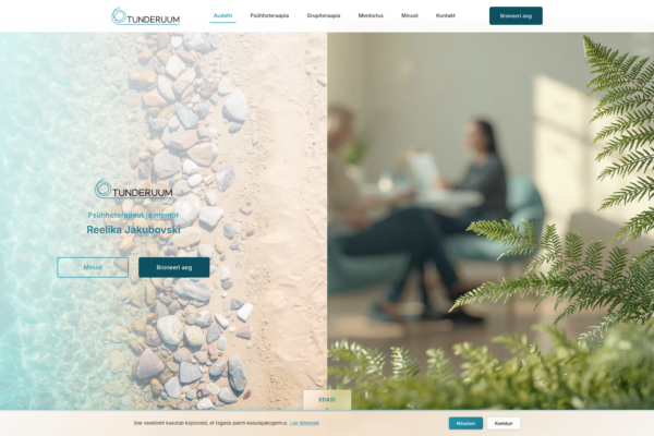 HiCare OÜ projekt tunderuum.ee