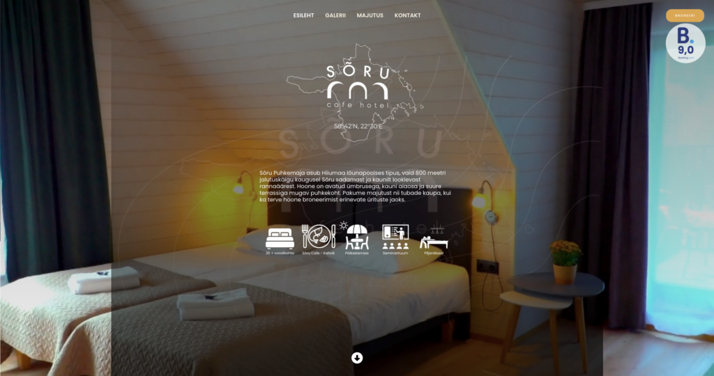 HiCare OÜ projekt serro.ee